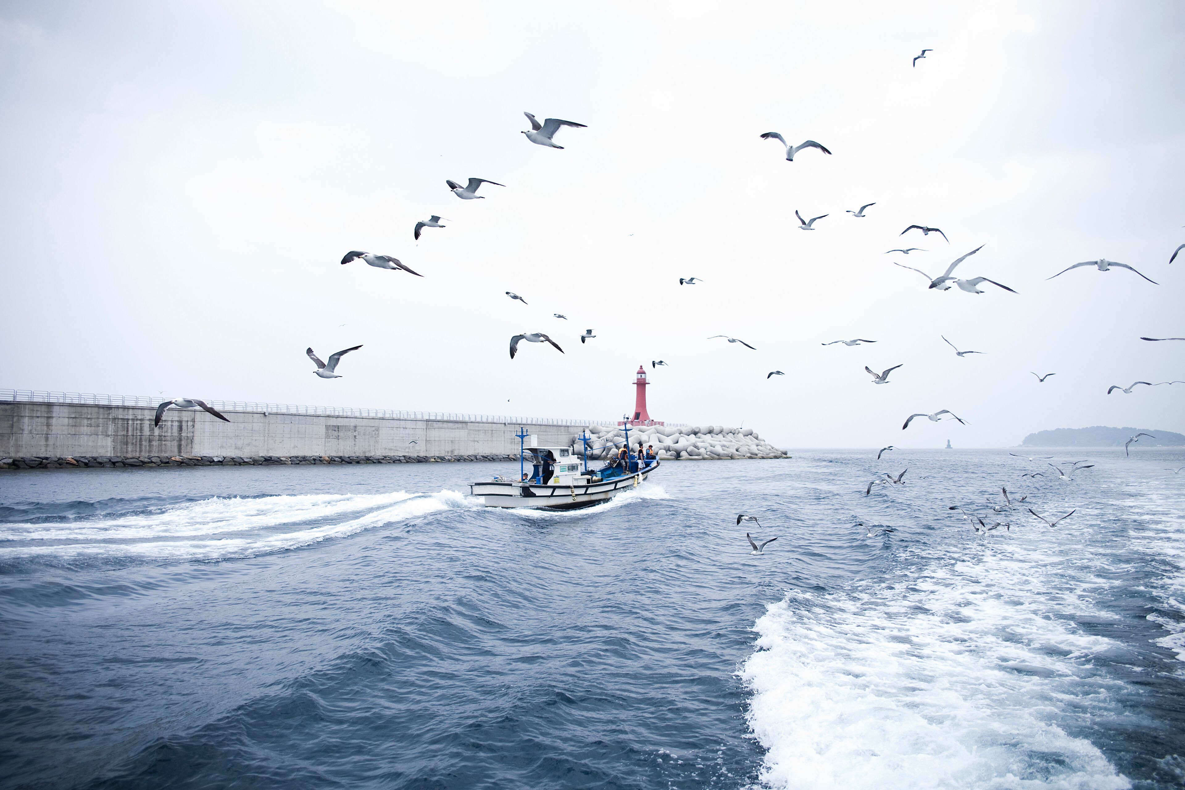 Sokcho port in Sokcho-si, South Korea.