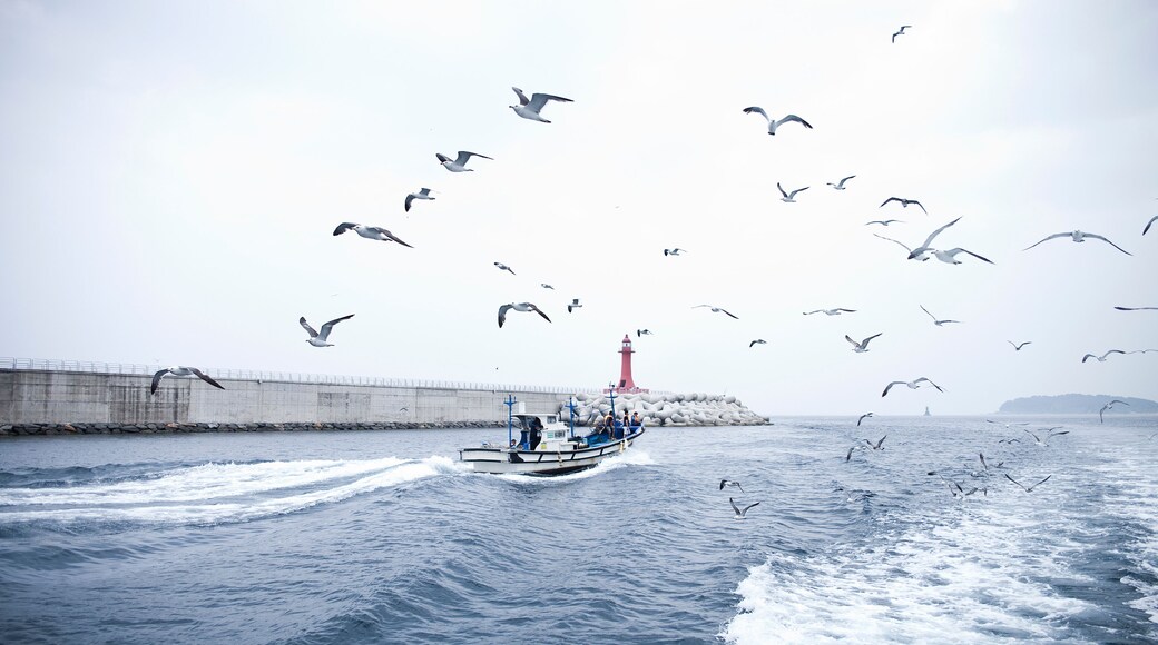 Sokcho port in Sokcho-si, South Korea.