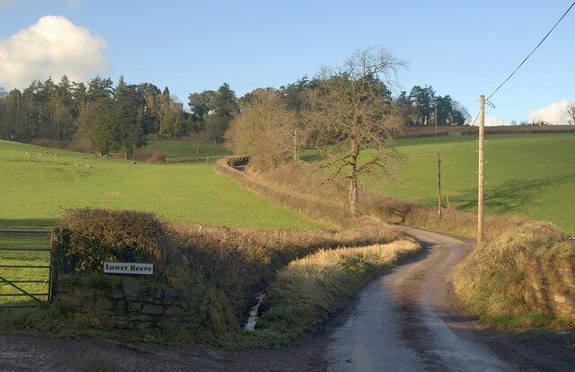 Lane at Lower Burston, and Reeve Castle