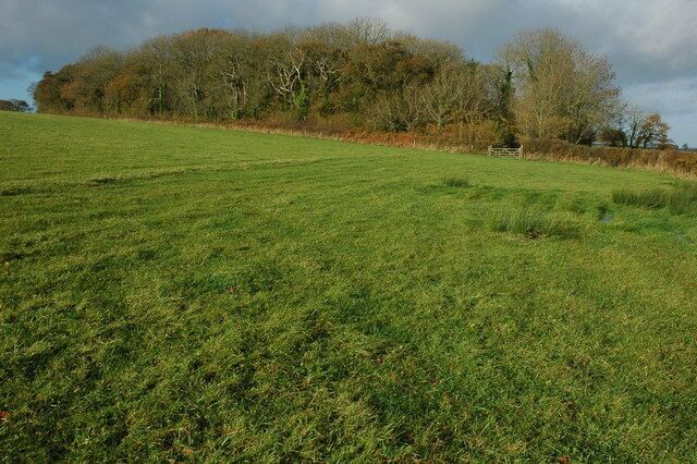 Wood near Wootton Top Small wood near the bridleway between Burrow and Wootton Top.