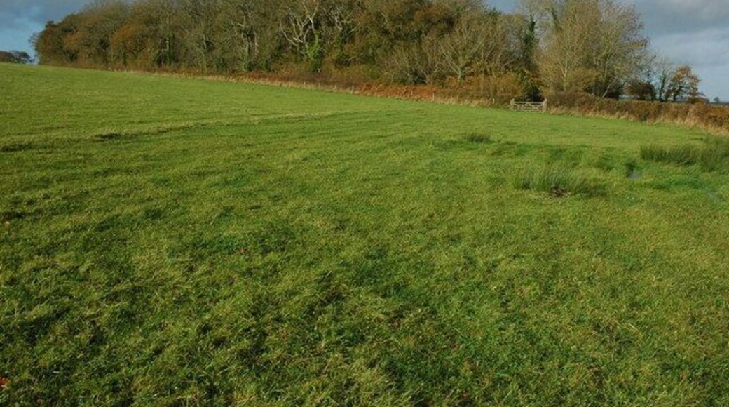 Wood near Wootton Top Small wood near the bridleway between Burrow and Wootton Top.