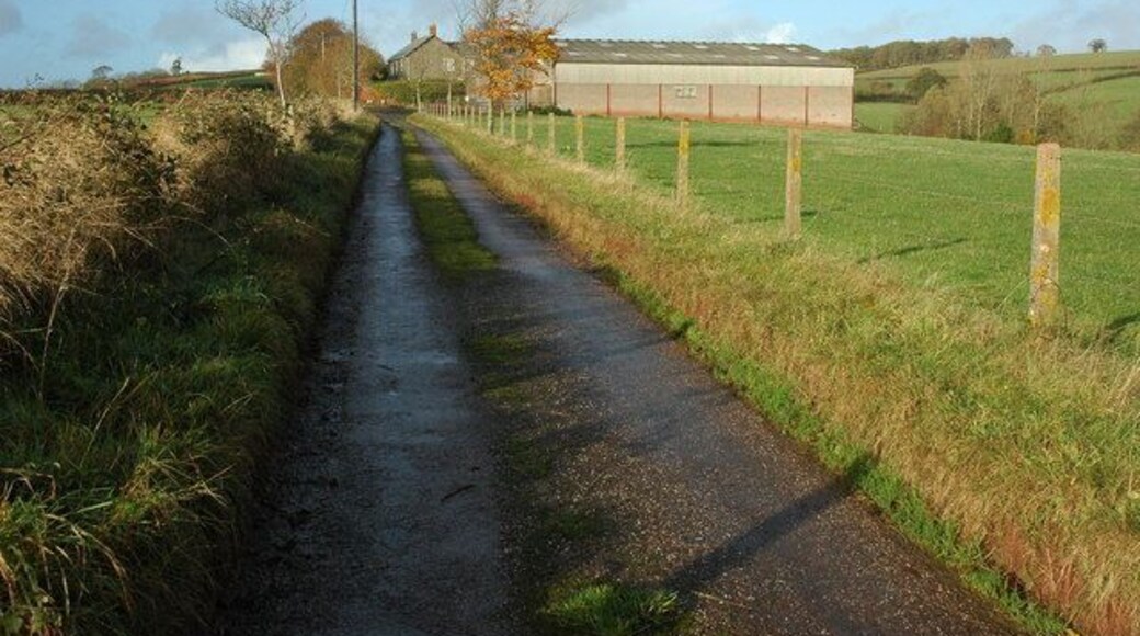 Road past Burrow, near Zeal Monachorum Country road passing the farm at Burrow.
