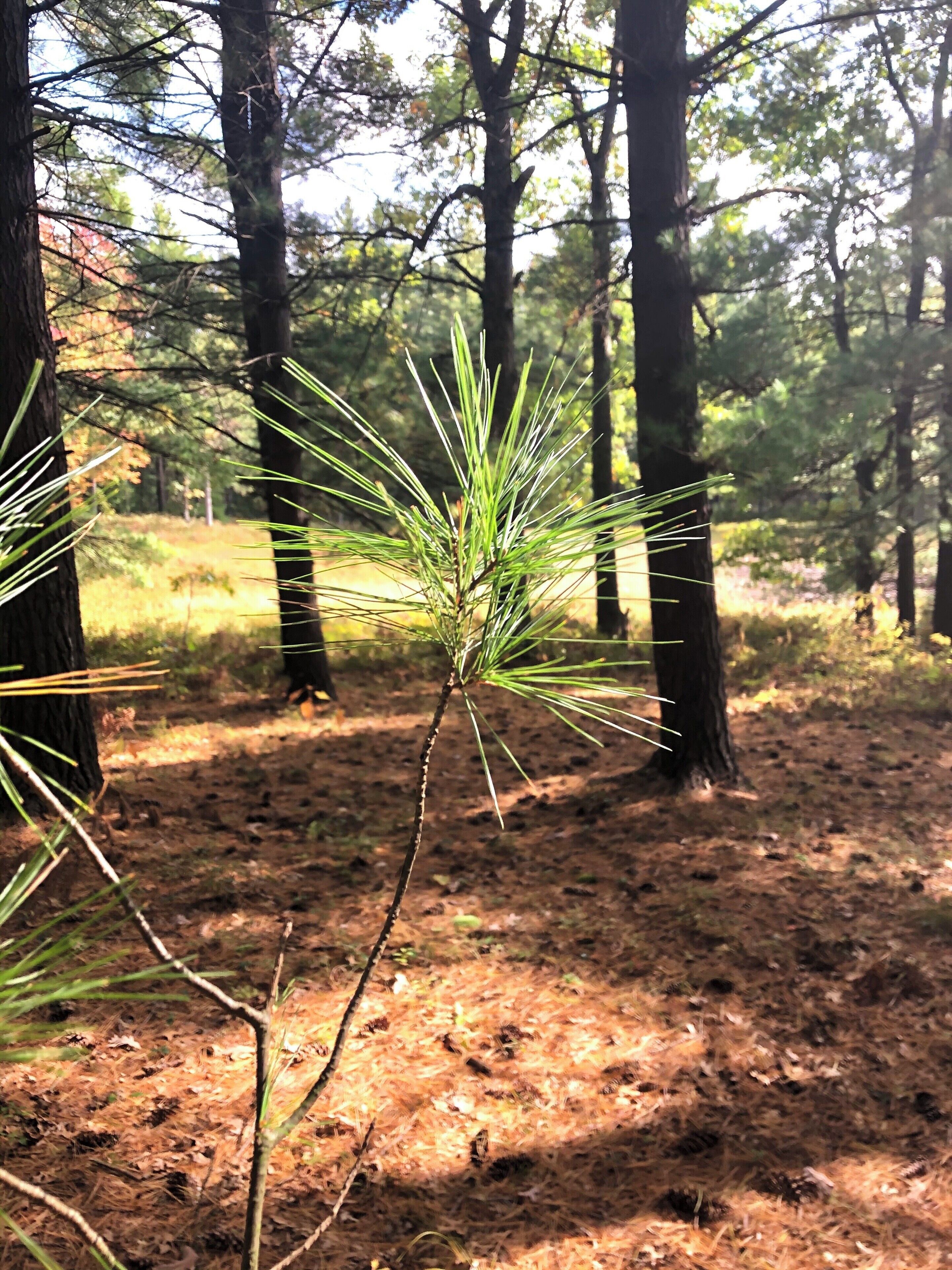 Fall, my favorite time of the year to explore.