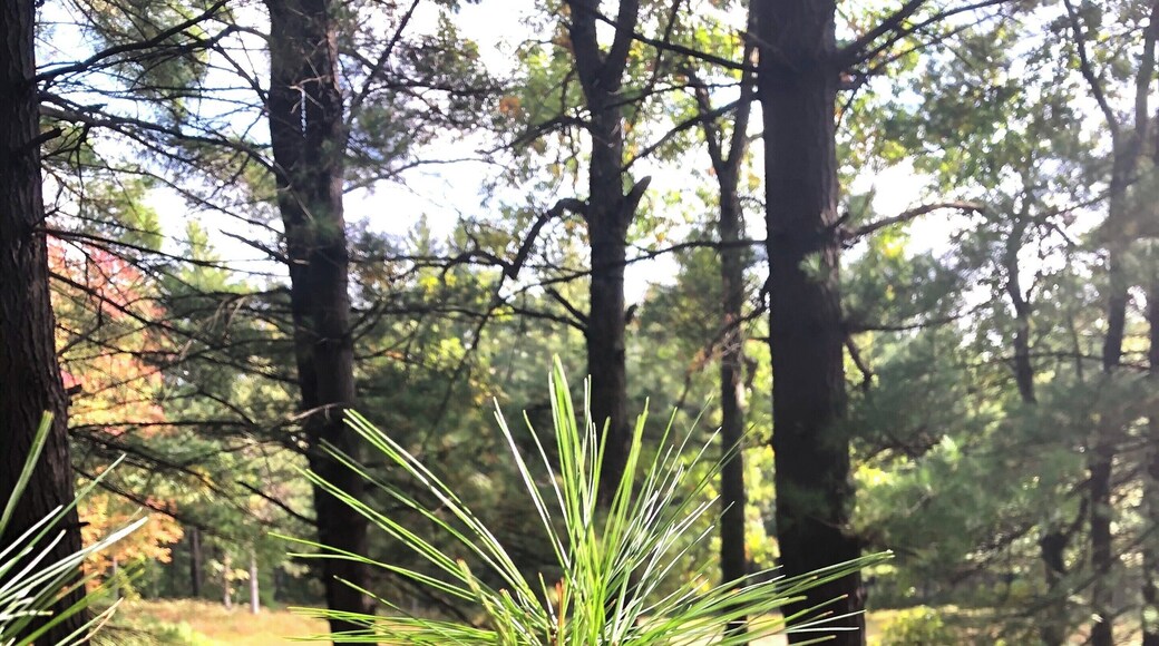 Fall, my favorite time of the year to explore.