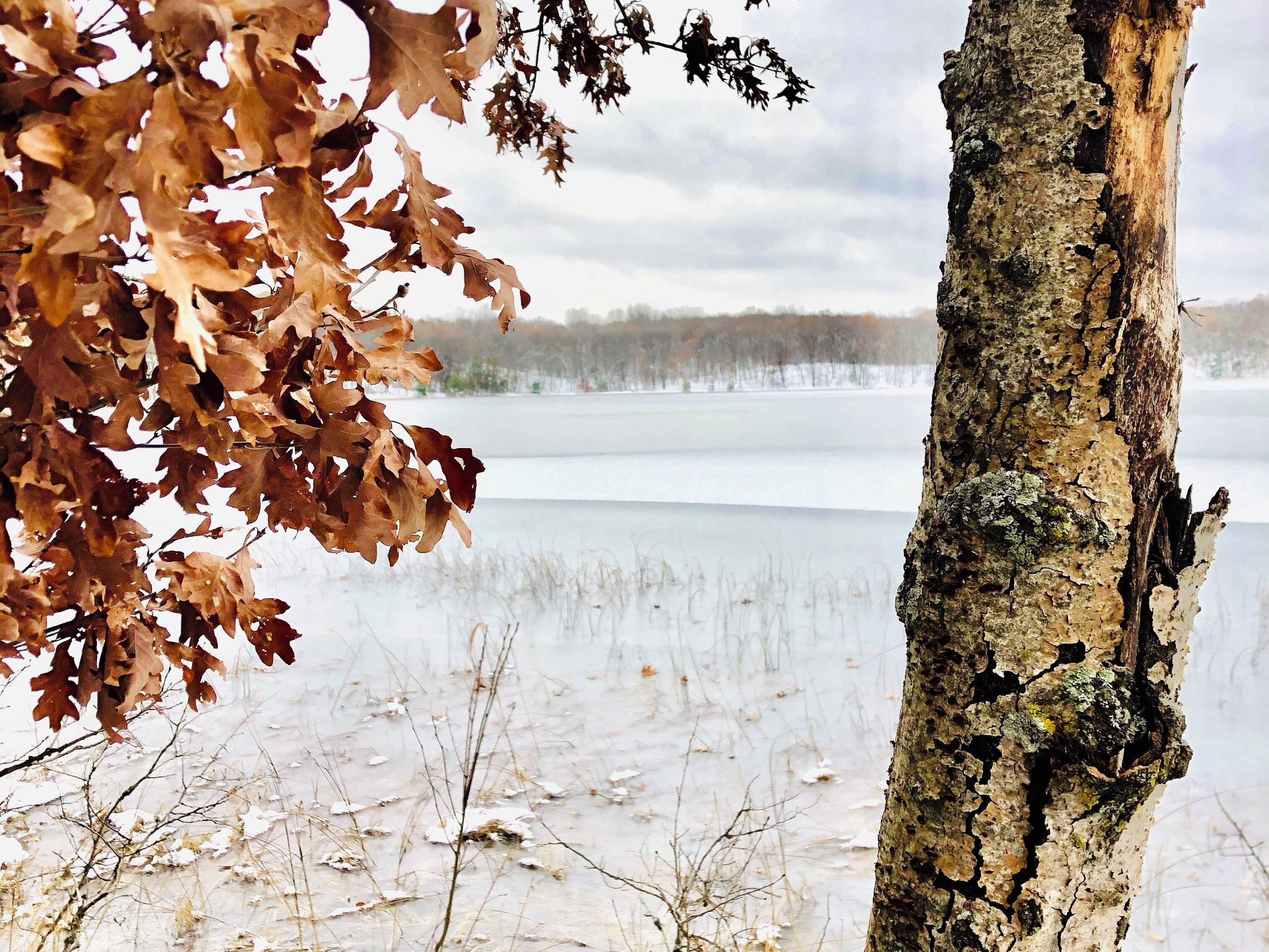 You can’t beat my lunchtime view today. Pure serenity!