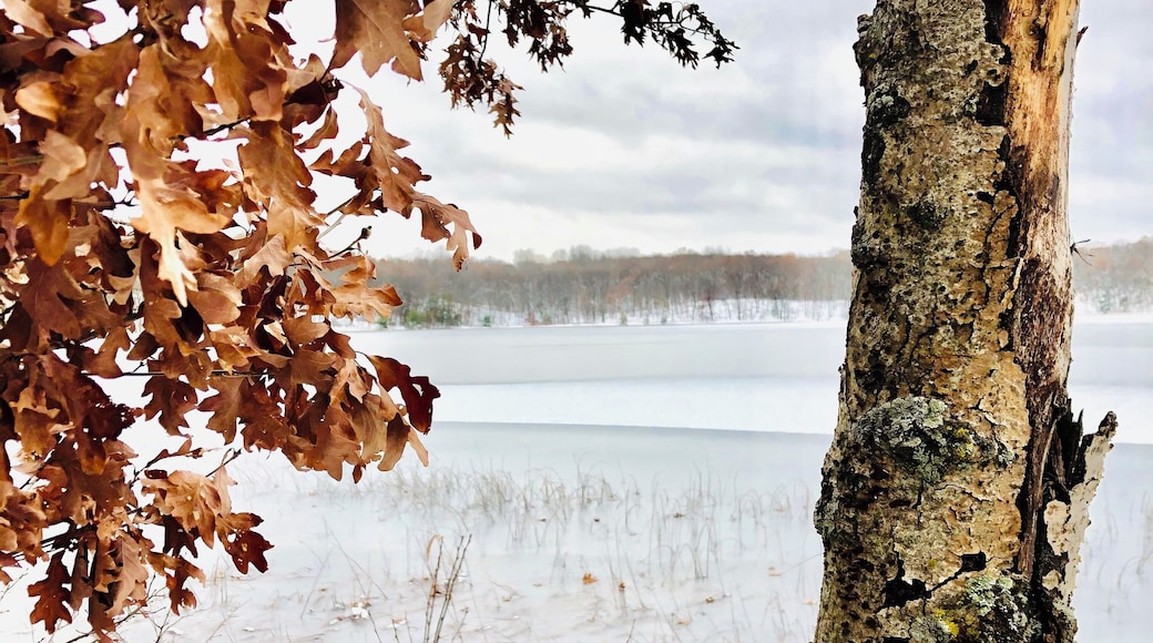You can’t beat my lunchtime view today. Pure serenity!