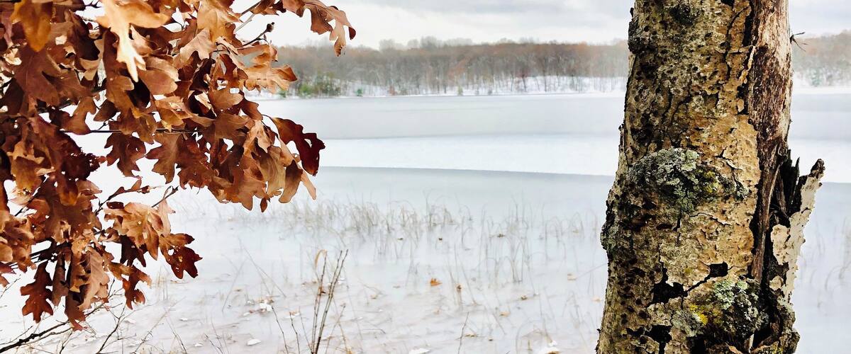 You canโt beat my lunchtime view today. Pure serenity!