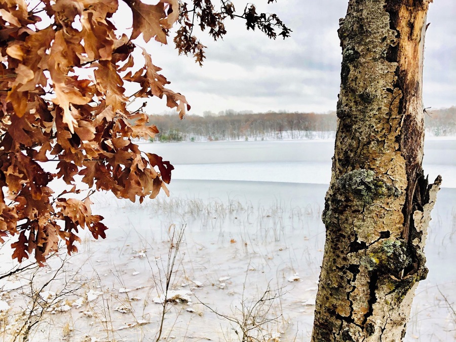 You can’t beat my lunchtime view today. Pure serenity!