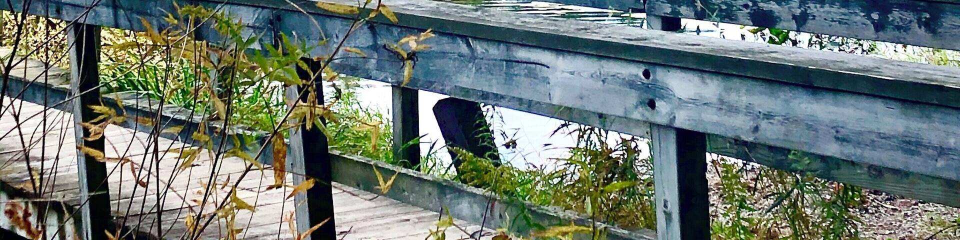 Walking bridge to my private camping location.