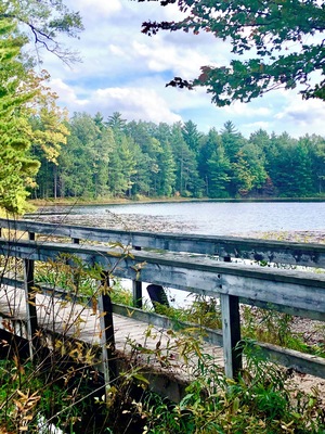 Walking bridge to my private camping location.