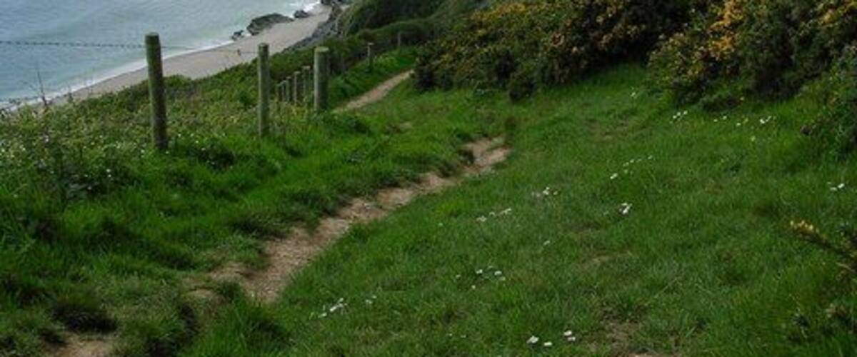 The South West Coast Footpath above Lantic Bay