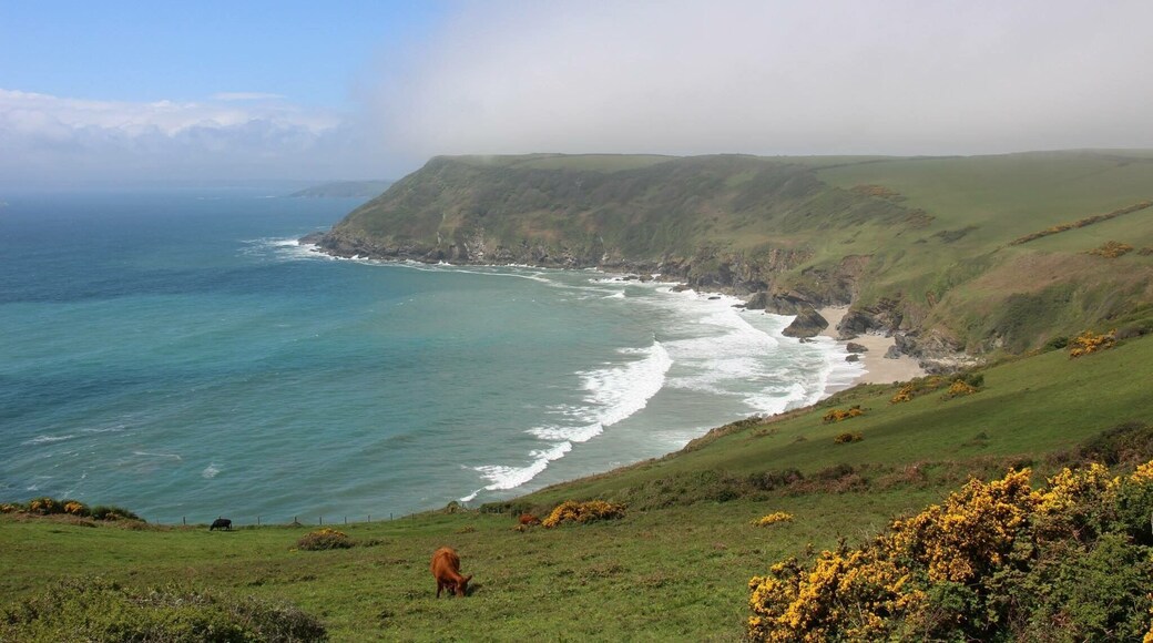 One of Cornwalls very last secrets. Lantic Bay is tricky to get to but rewarding for those who go