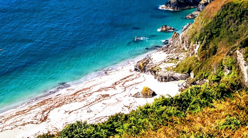 A hidden gem in Cornwall, only accessible via a steep incline front the coastal path or by a small boat