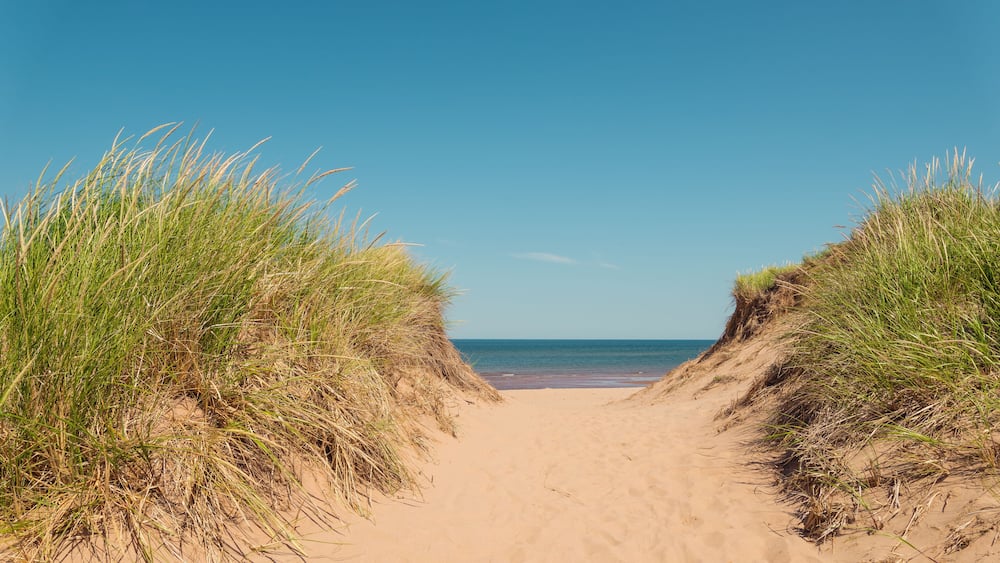 Path to the beach at St. Peters Bay on the northern shore