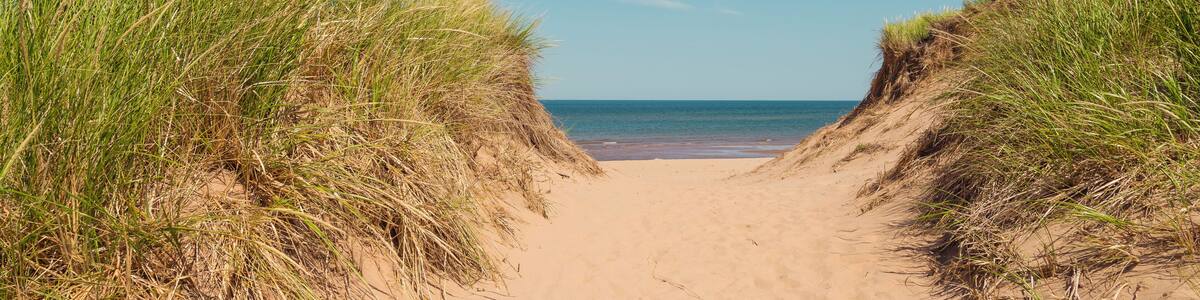 Path to the beach at St. Peters Bay on the northern shore