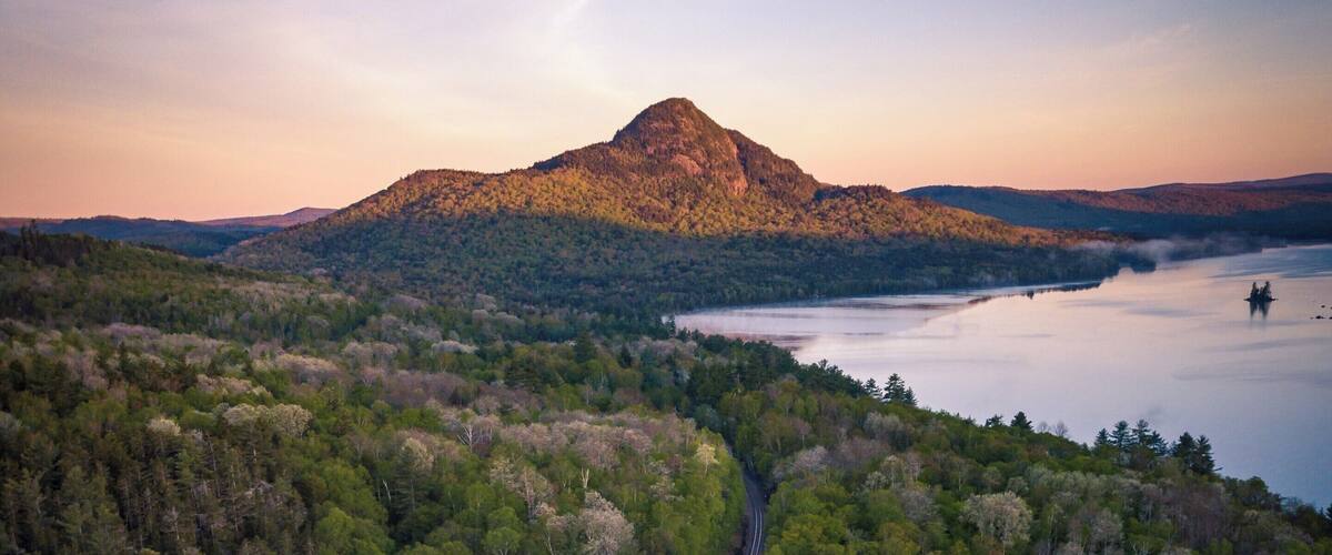 A forested landscape with a railway track running through it.