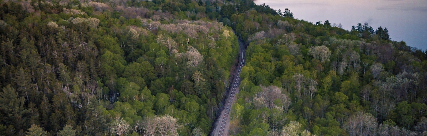 A forested landscape with a railway track running through it.