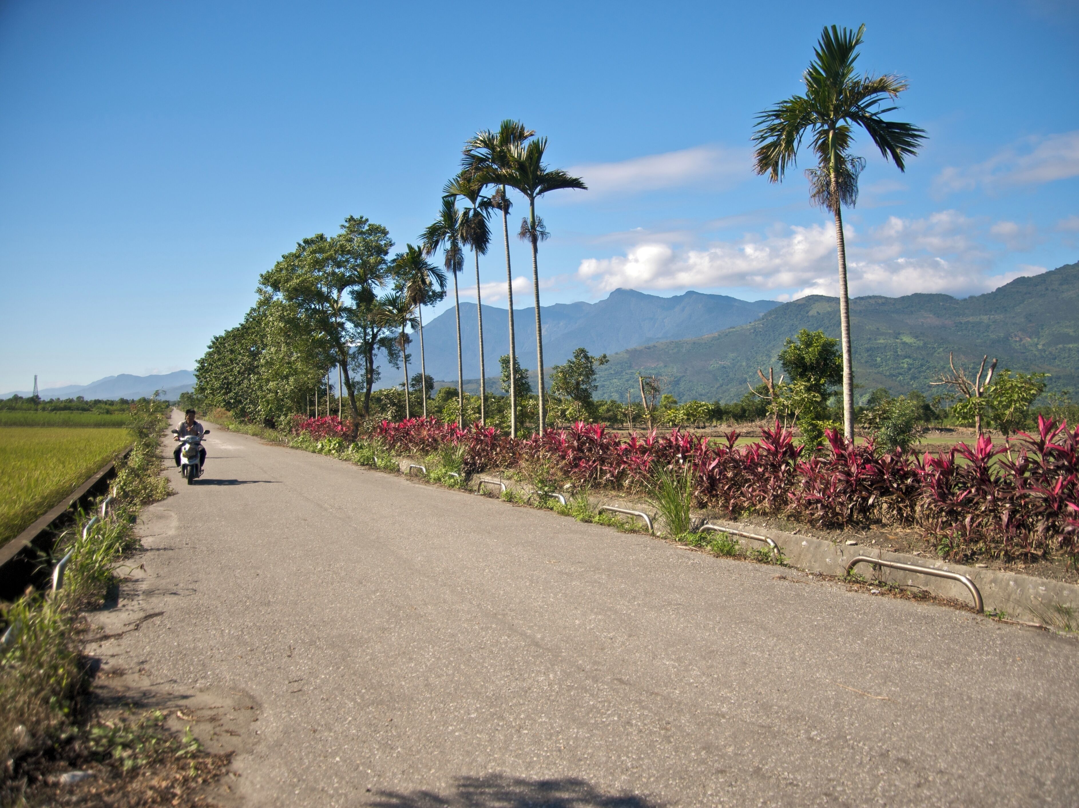 A farm road in Hualient County, Taiwan, with the Coastal Mountain Range in the background. This photo was taken on Zhongxiao Street in Shoufeng Township, Hualien.