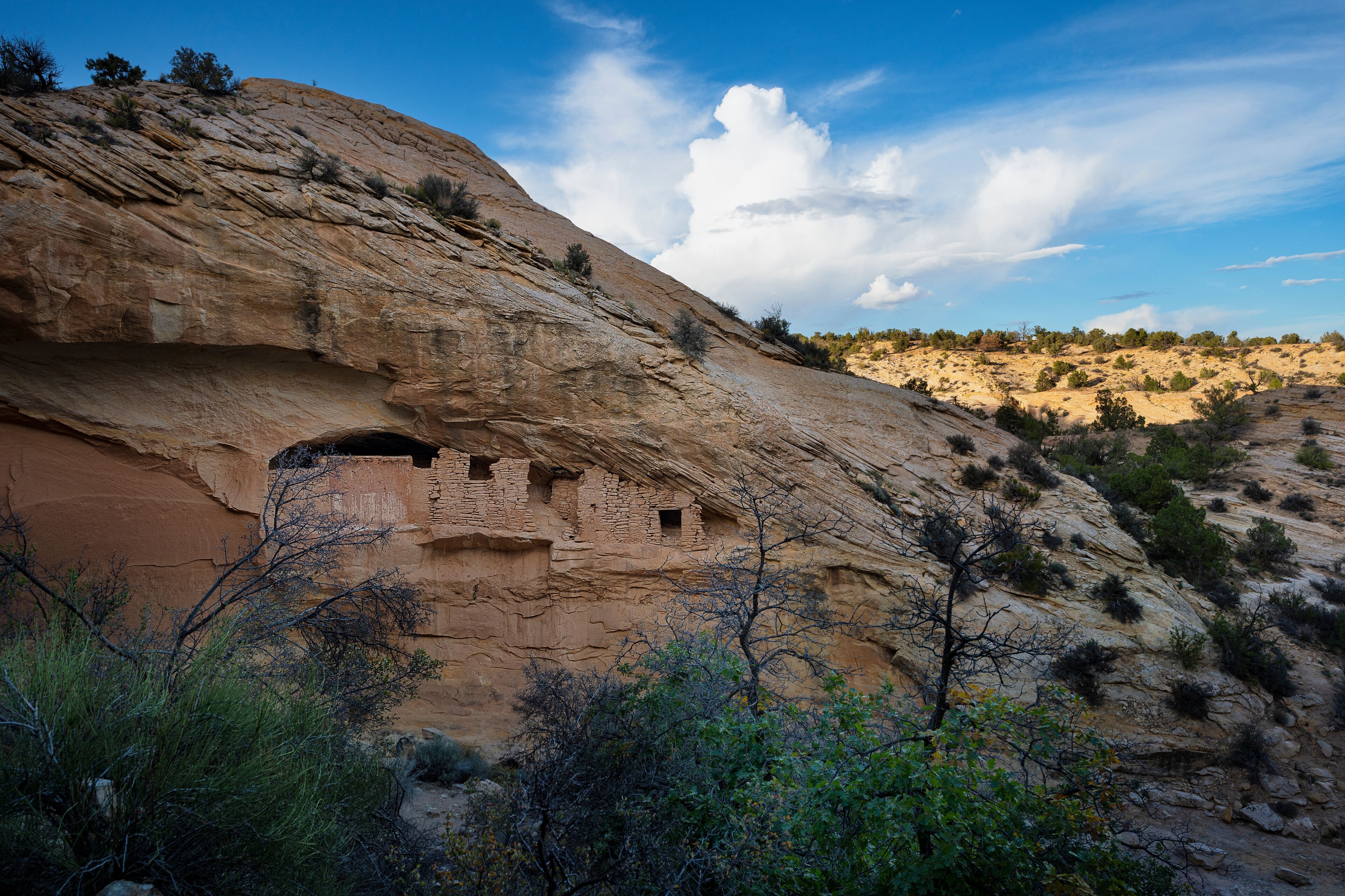 A rock formation with ancient cliff dwellings and sparse vegetation.