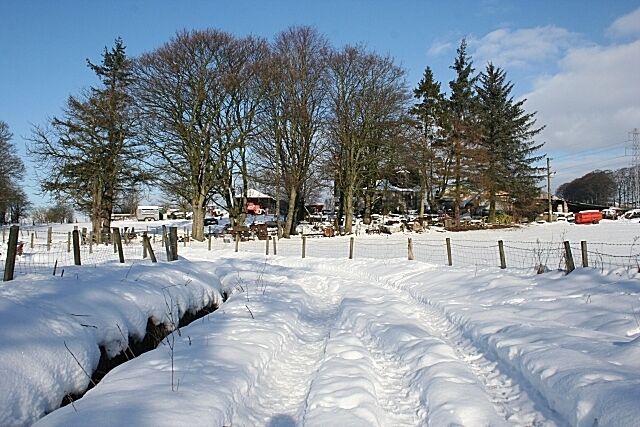 Fife Cottage The cottage and outbuildings are partly hidden among the trees. It is the only house accessed by this road, though the road is part of the signposted Keith footpath network.