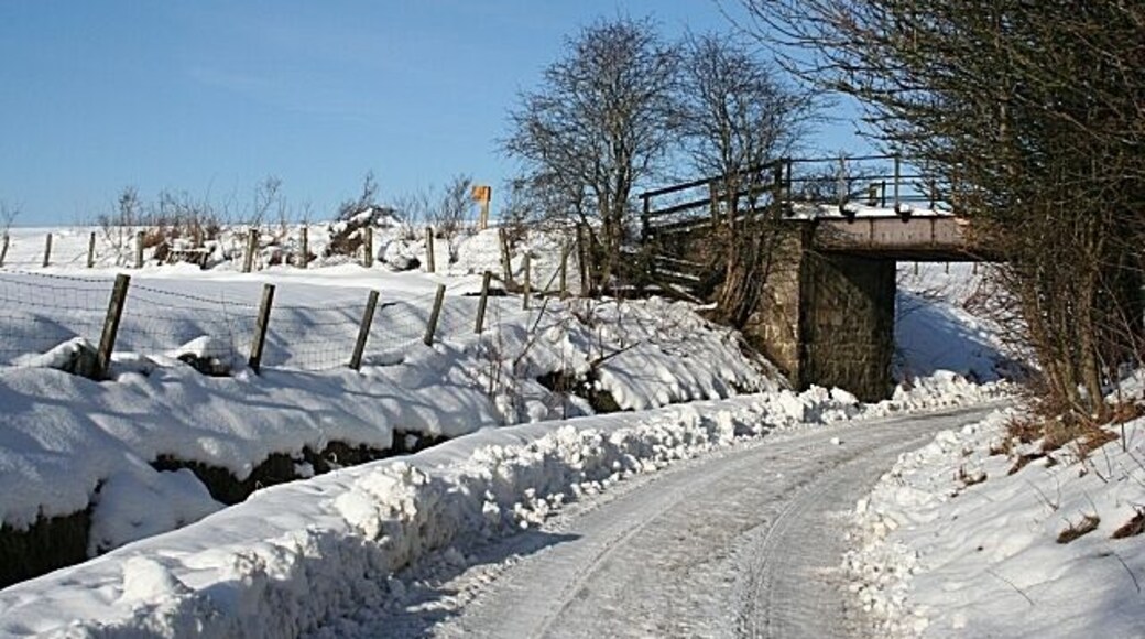 Railway Bridge This utilitarian bridge carries the Keith to Dufftown railway line over the access to Fife Cottage.