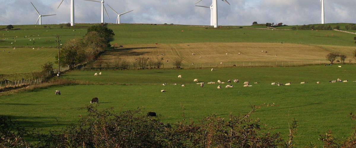 Wind turbines on a green field with sheep grazing.