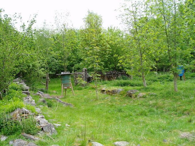 Food for pheasants. The old farmhouse has been destroyed and there is now newly planted woodland, with pheasant feeders.