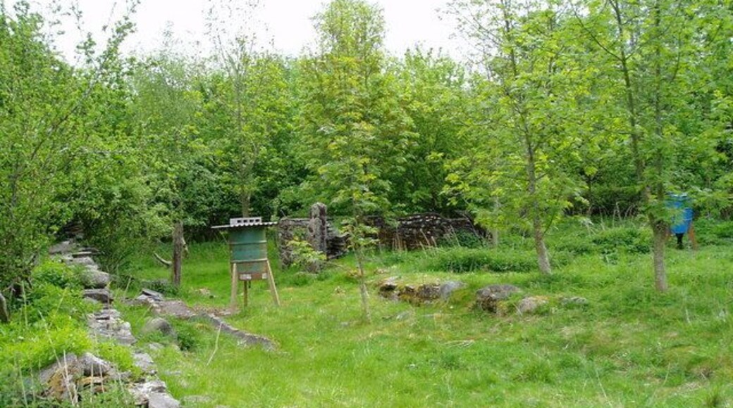 Food for pheasants. The old farmhouse has been destroyed and there is now newly planted woodland, with pheasant feeders.
