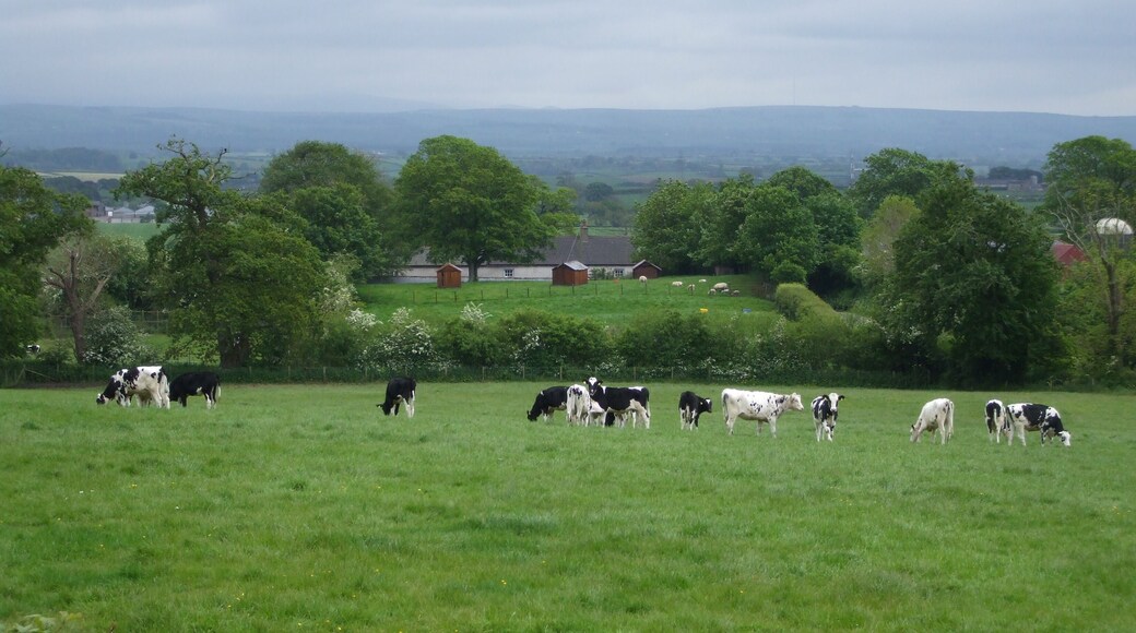 Wooden Sheds stand on a castle site