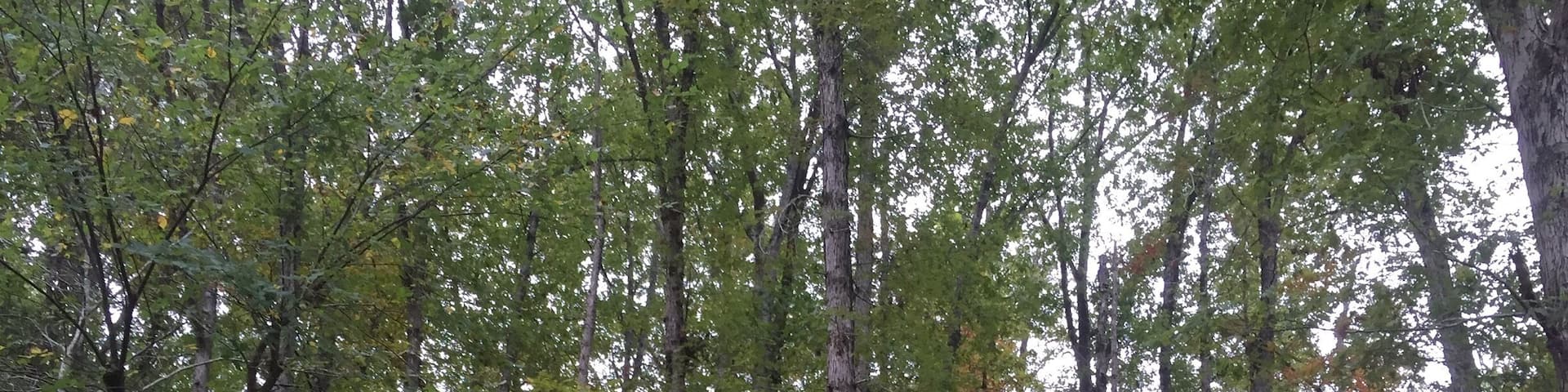 If you walk the gravel road into the nature preserve the views are incredible.
