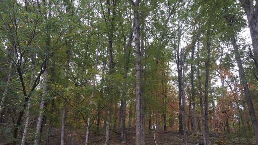 If you walk the gravel road into the nature preserve the views are incredible.