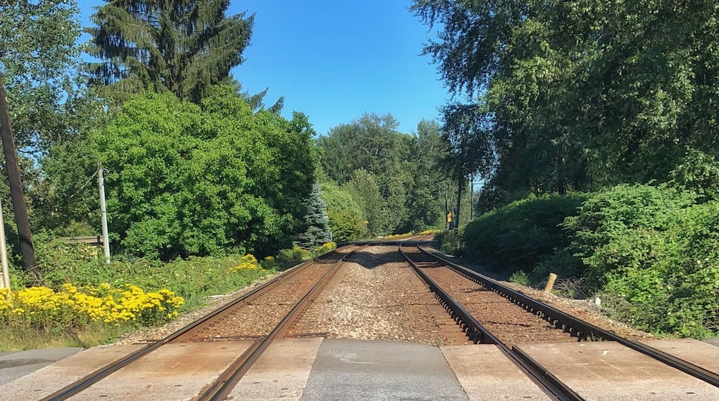Train tracks running through the town