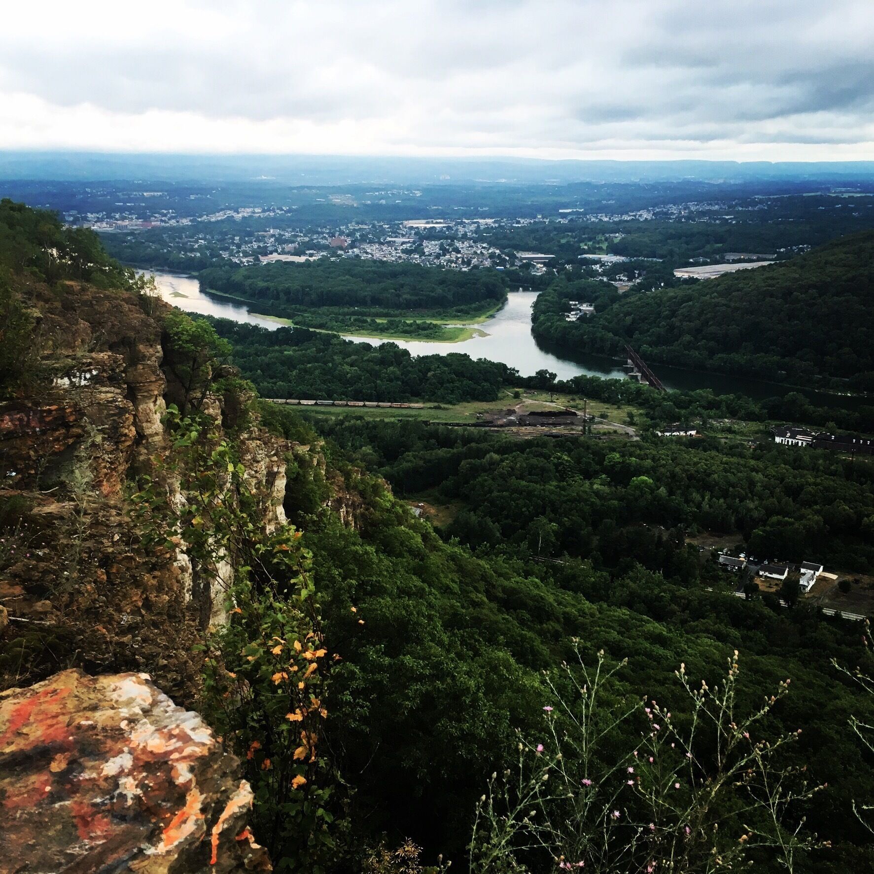 A river valley with a dense forest, a train track, and a distant cityscape.