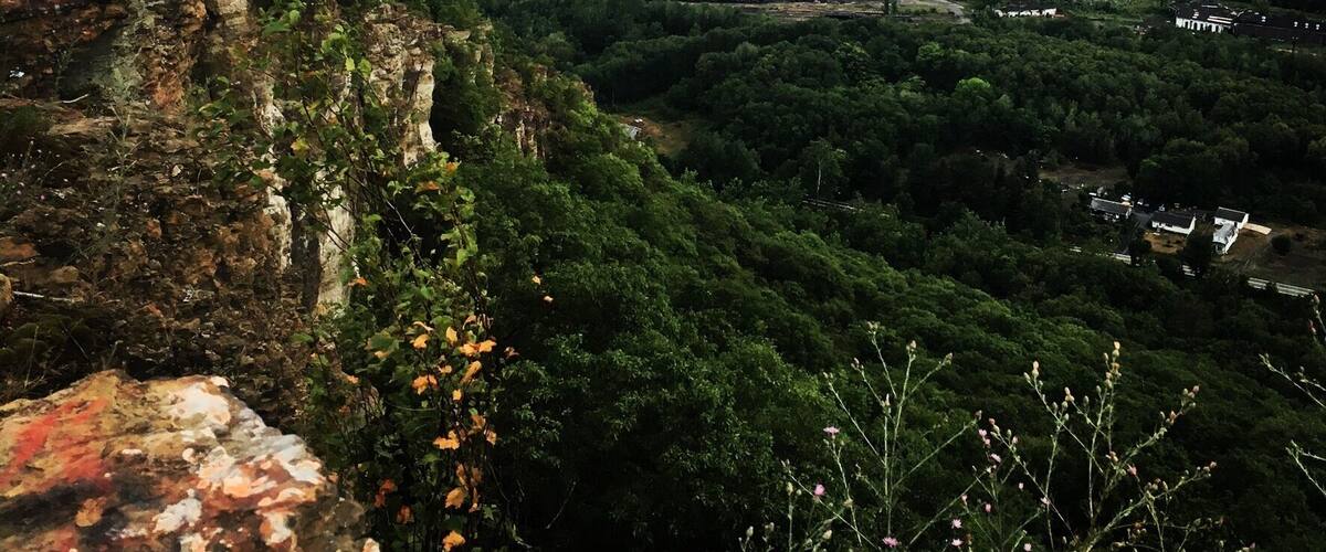 A river valley with a dense forest, a train track, and a distant cityscape.