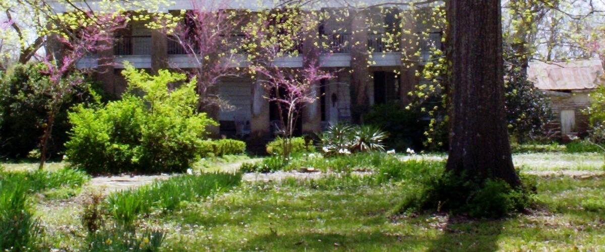 A house surrounded by lush greenery and trees.