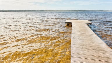 Forest river (lake) on a sunny day. Wooden pier. Clea sky, reflections in a crystal clear water. Idyllic landscape, rural scene. Nature, ecology, ecotourism, hiking, ecological resort, local tourism