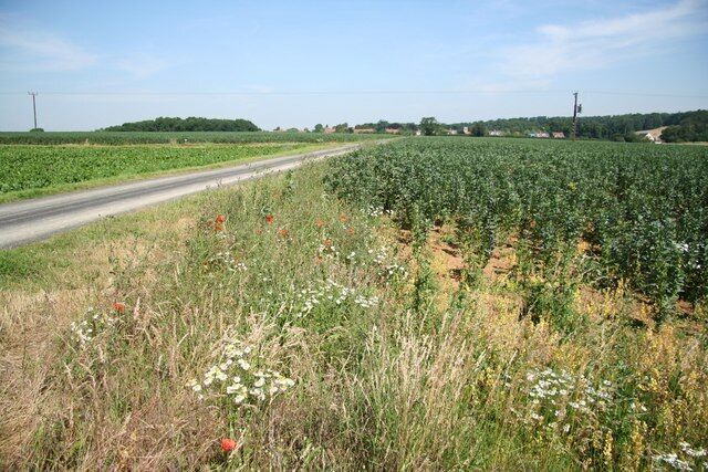 View to Glentworth View towards Glentworth from the oil well near Glentworth