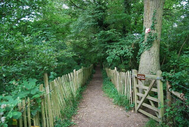 A narrow forest path with a wooden fence on one side and a gate at the end.