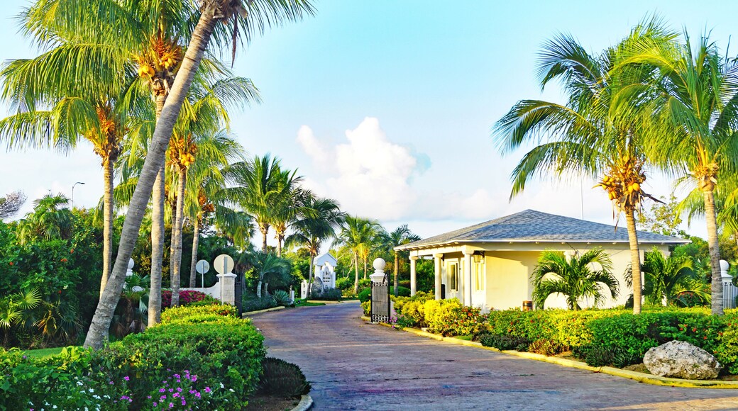 ๊ทธ๋ก๋ธ ์ํฐ