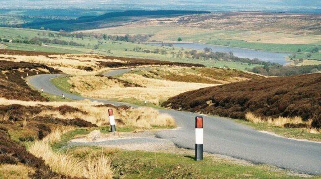 A line of red, white and black posts ...lead down towards Roundhill Reservoir.