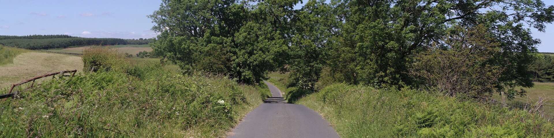 Looking north along the road between Healey and Ellingstring in Yorkshire.