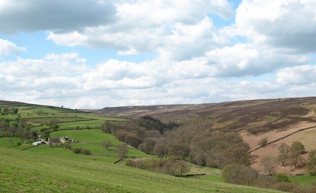 Colsterdale and Birk Gill. Looking across Colsterdale towards the side valley of Birk [birch] Gill, which is largely grouse moor.