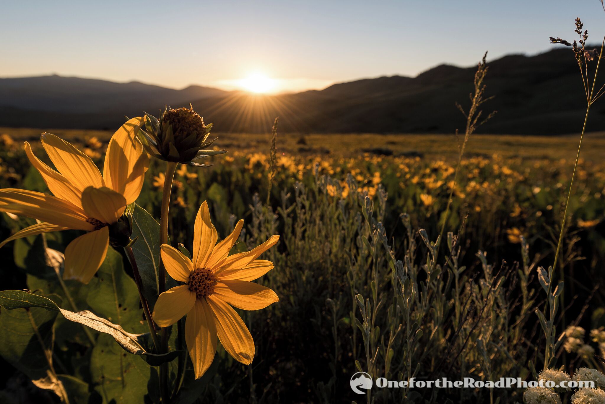 Muddy Pass, CO
See tons more @ http://www.onefortheroadphoto.com/