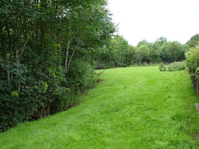 Small field beside the Rhiw Near New Mills