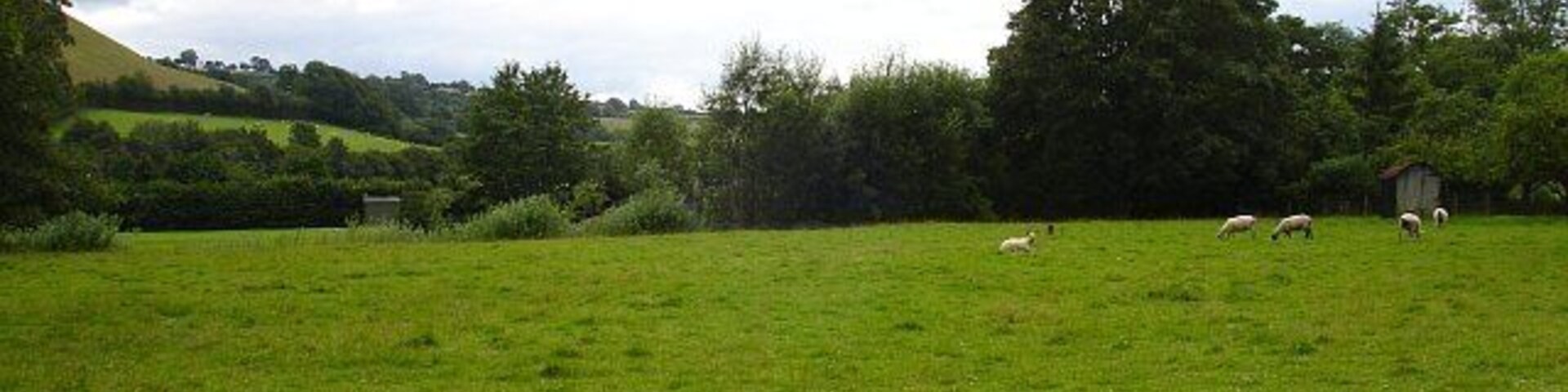 Pasture at Manafon. Beside 503749, the lower slopes of Tŷ-mawr Hill are visible on the left.