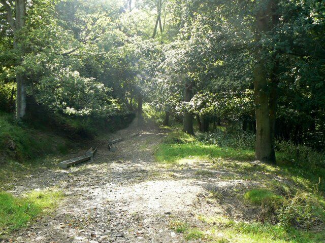 Forest track Track leading south off minor road south of Cefn-Crin