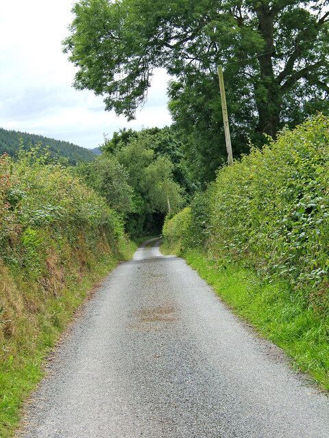 Unclassified road to Brunslow This is near the start of the narrow single track road from Edgton to Brunslow. The further you travel along this road the rougher both the road and the vegetation become!