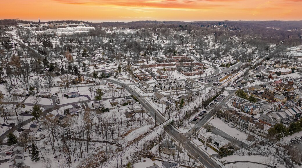 เมดิสันฮิลล์