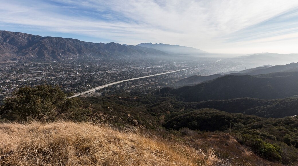 ลา เครสเชนตา-มอนโทรส