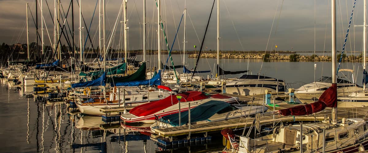 A marina with numerous sailboats docked.